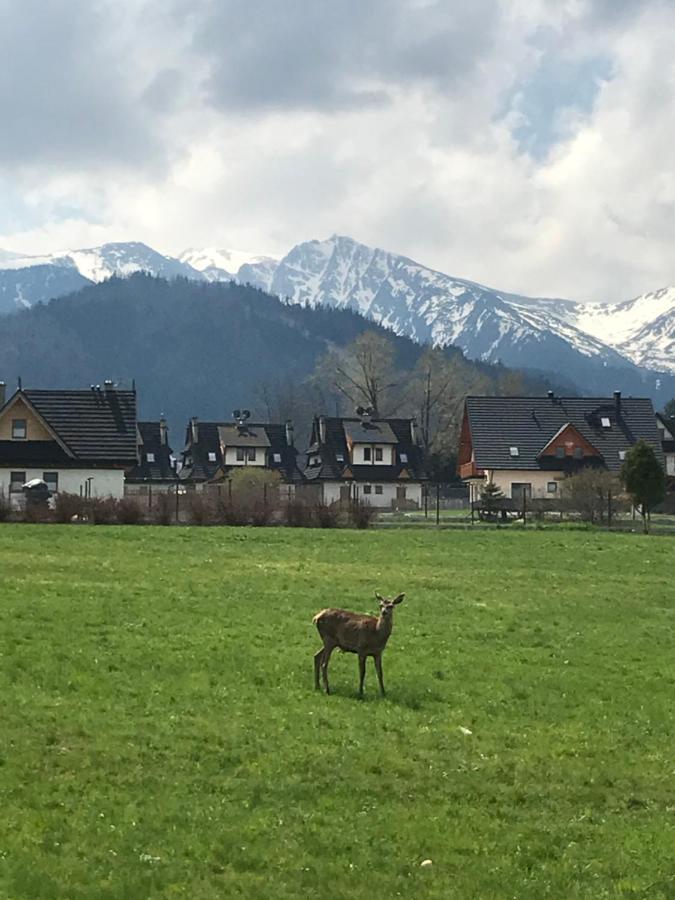 Villa Jumper Widok Na Cale Tatry Lazienka Nie Jest W Pokoju Zakopane Bagian luar foto